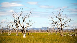End of Life Care: Symptom Management - Trailer