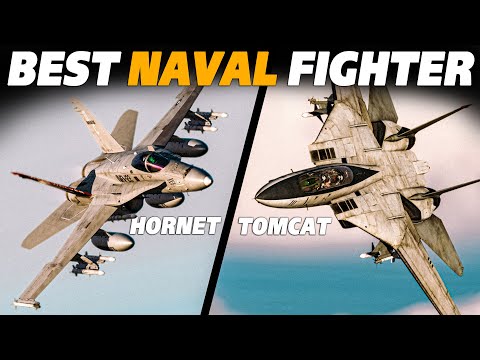 The Better Naval Fighter | F/A-18C Hornet Vs F-14B Tomcat | Digital Combat Simulator | DCS |