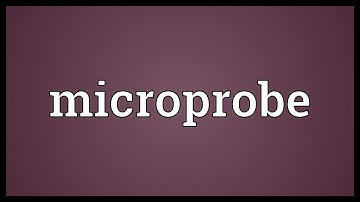 Microprobe Meaning