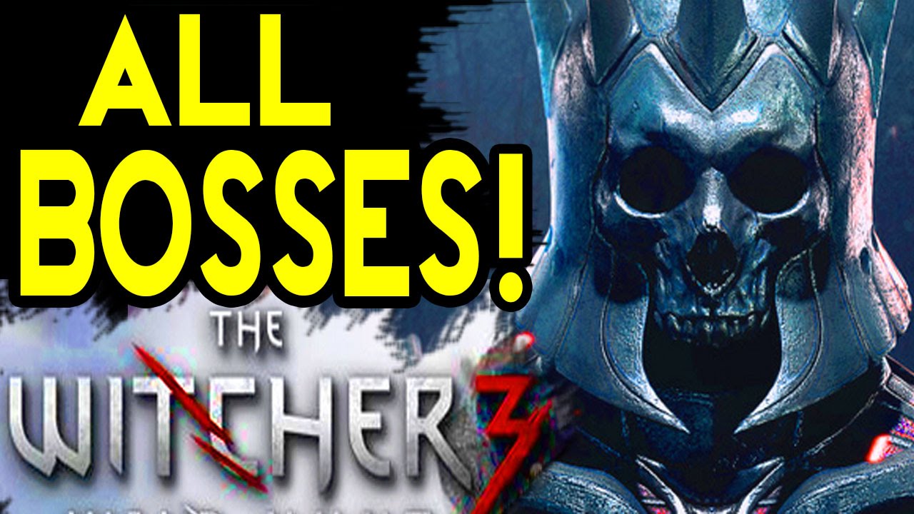 The Witcher 3 ALL BOSSES Fights Includes Optional Boss Battles - YouTube