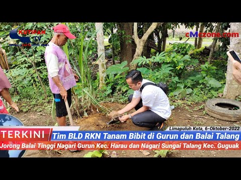 Tim BLD Musangking RKN tanam bibit di Gurun dan Balai Talang