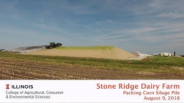 Packing Corn Silage Pile at Stone Ridge Dairy