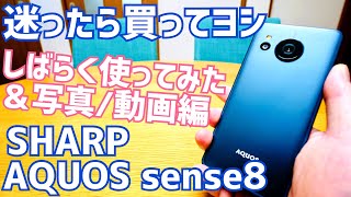 AQUOS sense8 迷ったら買ってヨシ！7から超絶進化していた！しばらく使ってみた&カメラ編【SHARP】