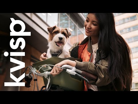 Wideo: Przedstawiamy Project Paws ™ - Daj swojemu psu najlepszy