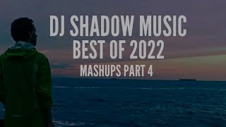 BEST OF 2022 • DJ Shadow Music (Mashups - Part 4)