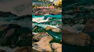 Bango dam🏞️ Korba😍 ja rahe hain advancer par😄 #dailyvlog #korba #dam #hasdeobangodam #shortsfeed