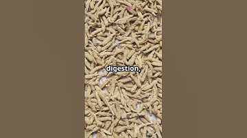 Unlocking Ancient Chinese Medicine