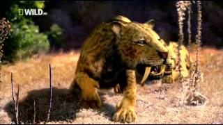 Доисторические хищники — Саблезубый Тигр Документальные фильмы Nat Geo Wild HD