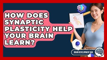 How Does Synaptic Plasticity Help Your Brain Learn? - Brain Development Hub