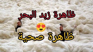 بعد ظهوره علي شواطئ بورسعيدما هو زبد البحر وكيف يتكون؟وهل يشكل خطورة؟