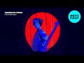 надписи на стенах - попугайчики (Single 2025)