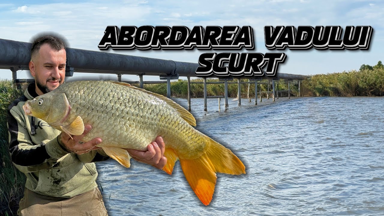 Abordarea vadului scurt pe lacul salbatic Movilita