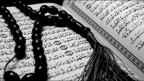 سورة العنكبوت الآية 56-61 بصوت القارئ عبد الرحمان مسعد #تلاوات #تلاوات #صلوا_على_النبي #قرآن_كريم