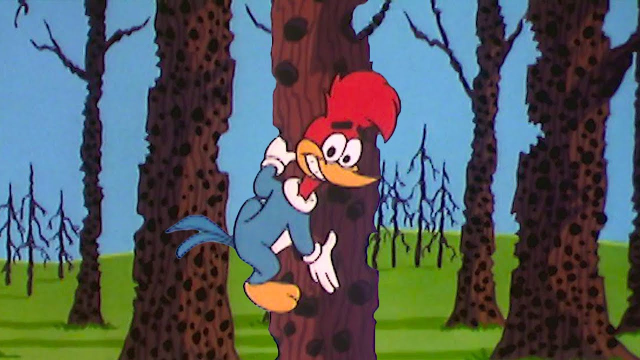 Pica-Pau, Pare de Bicar! | Pica-Pau em Português