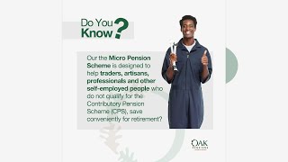 Pension 101: Do You Know About Micropensions?