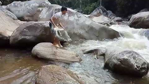 Quăng Chài Bắt Cá Suối Tây Bắc