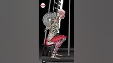 One Squat. Three Ways to Shift the Spotlight. 🔥