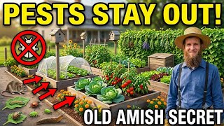 The Amish Secret to Keeping Pests Out of Your Garden Forever
