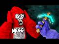 Surprising My Daughter With Her Minecraft World In Gorilla Tag! Mp3 Song