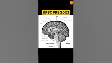 UPSC PRELIMS 2023|UPSC PRE 2022 SOLVING THROUGH ELIMINATION TRICKS|UPSC 2023 Strategy|upsc 2023