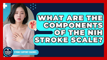 What Are the Components of the NIH Stroke Scale? | Stroke Support Channel