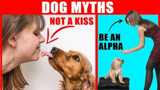 18 Myths About Dogs Debunked (#1 Might Surprise You) by Jaw-Dropping Facts 20,694 views 3 months ago 11 minutes