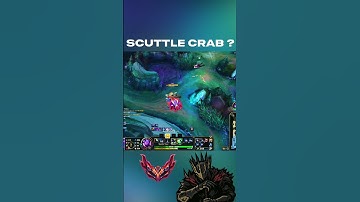 What does the Scutlle Crab do???💀 | League of Legends
