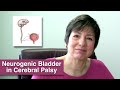 Neurogenic Bladder in Cerebral Palsy