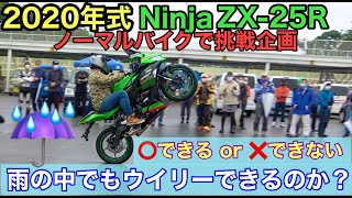 貴重　ウイリーダッシュバイク ✨未開封✨ 寅壱] 0287-964 セーフティースニーカー