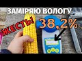 Заміряю вологу кукурудзи! Результат 38,2% Жесть! Кукурудза від якої збанкрутіють фермери!