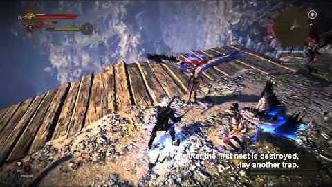The Witcher 2 - Harpy Nests