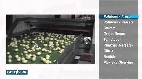 Odenberg overview with animation.mov