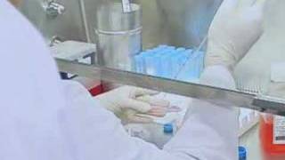 Anti-Cancer Blood Transfusion