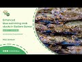 Enhanced Blue Swimming Crab Stocks in Eastern Samar