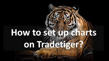 How to set up charts on Sharekhan Tradetiger? Multiple time frame charts
