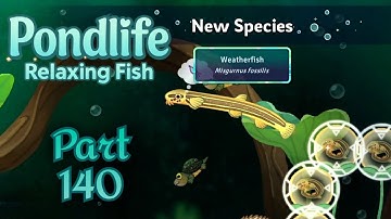 🐟 Pondlife - Relaxing Fish Game Walkthrough Part 140 | Mobile Gameplay (Android/iOS)