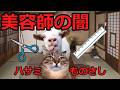 【猫ミーム】美容師だった占い師！！