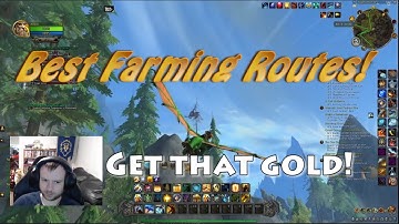 Dragonflight- Farming Routes/Route setup