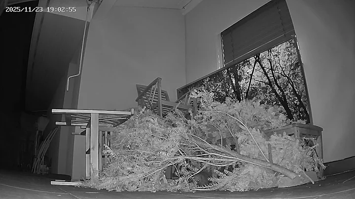 Improvised building a hedgehog home at our terrace (23/11/2025)