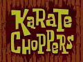 Karate Choppers Title Card Karate Choppers Title Card