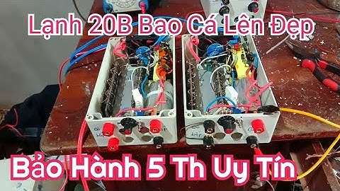 Kích Cá Da Trơn 20b Chuyen Kéo Cáp Cá Trê,lang, Chạch, | Điện Tử Nguyễn Sự |