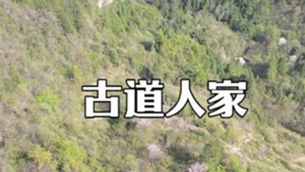 大叔住在深山，却没有种庄稼，一条古道从门前经过 #大山里的原生态 #乡村生活