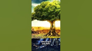 The Hidden Language of Trees Just Discovered!