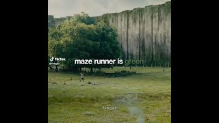 Maze Runner TikTok Compliation 8