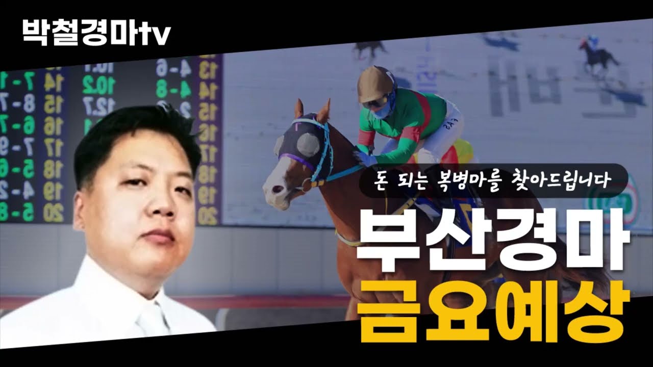 11월 15일 박철의 금요경마 예상