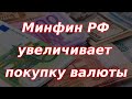 Минфин России увеличит покупку валюты. Курс доллара.