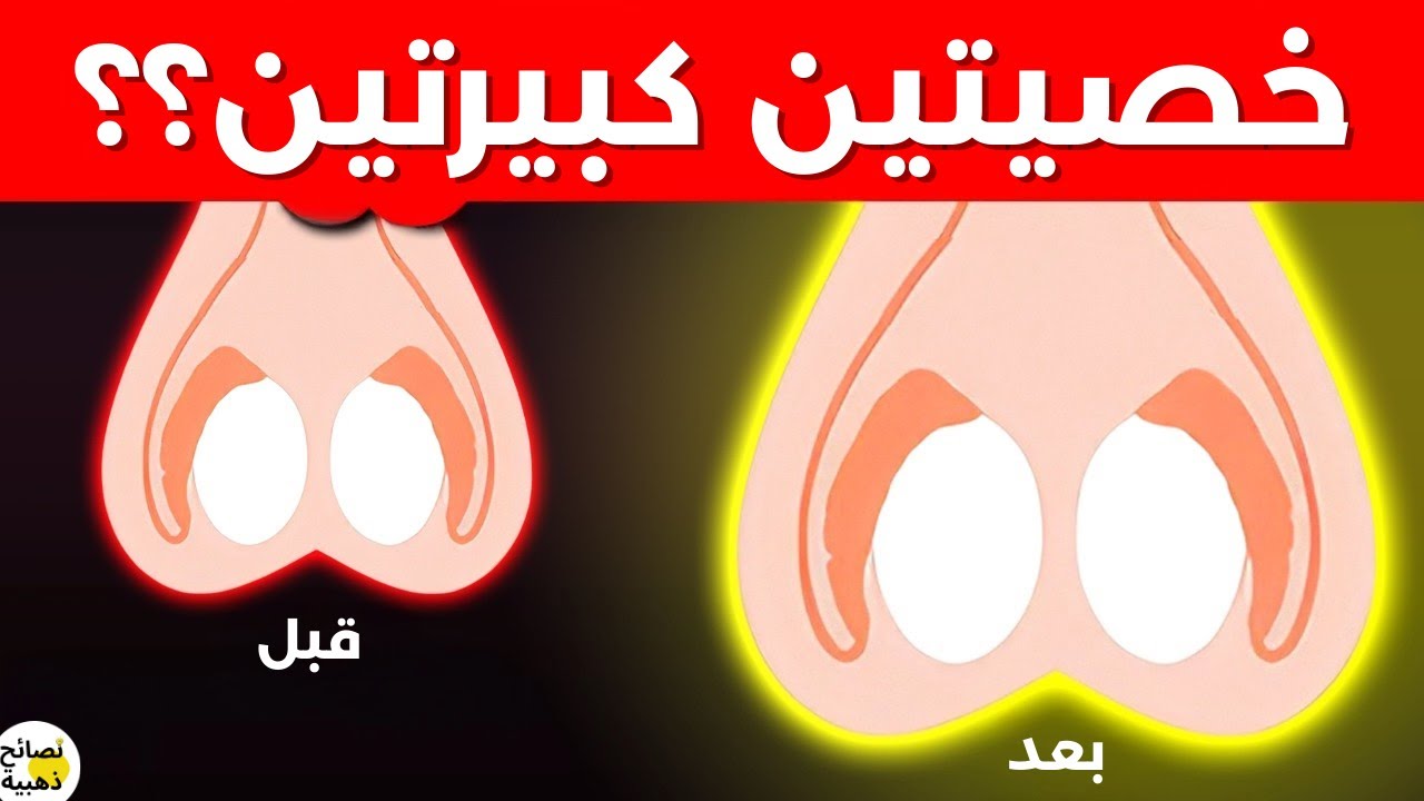 اشرب هذا المشروب يوميًا لدعم صحة الخصيتين ورفع التستوستيرون | د. سارة