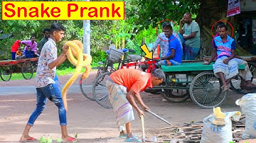 King Cobra Snake Prank 🐍 (Part 17) | Fake Snake Prank Video | 4 Minute Fun