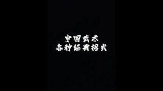 中国武术各种拳法经典招式#中华武术博大精深 #青年创作者成长计划 #咏春 #招牌动作 #八极拳