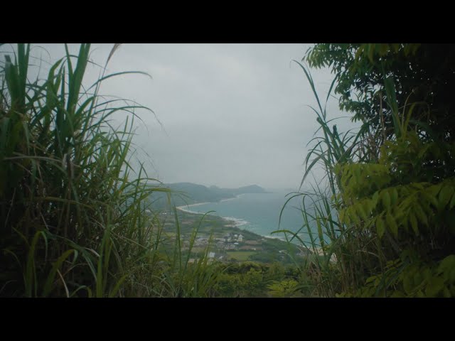 Dorozome in Amami Oshima - YouTube